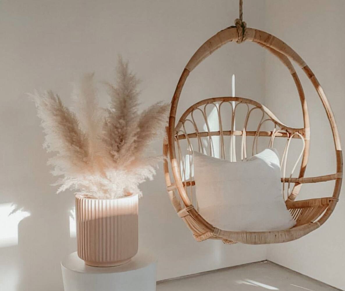 5 adresses d’ici où acheter les herbes de pampa