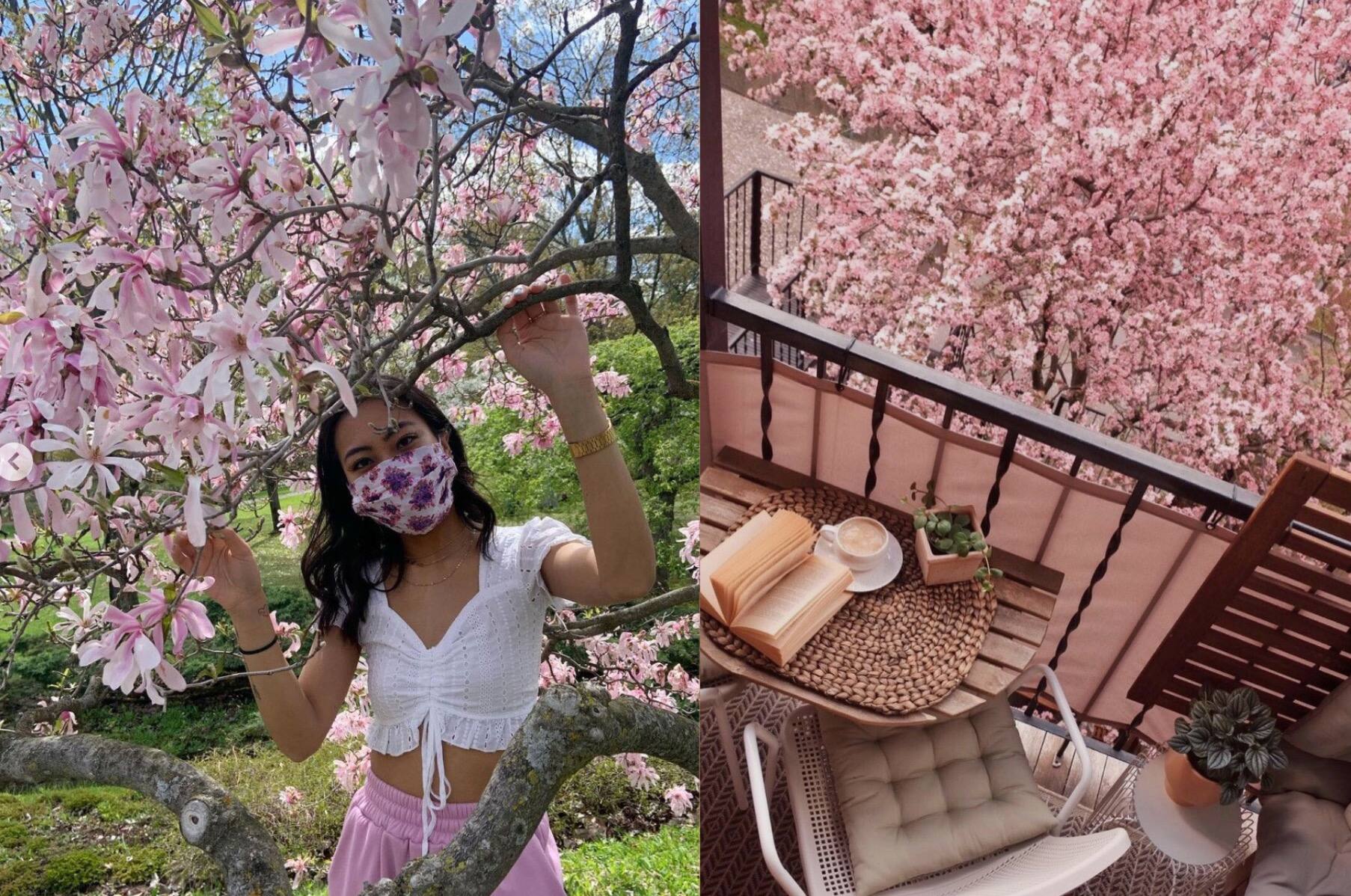 Les plus belles photos de Montréal en fleurs