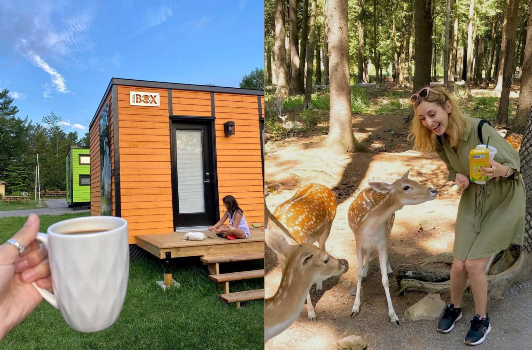 Dormir avec des animaux au Parc Safari cet été