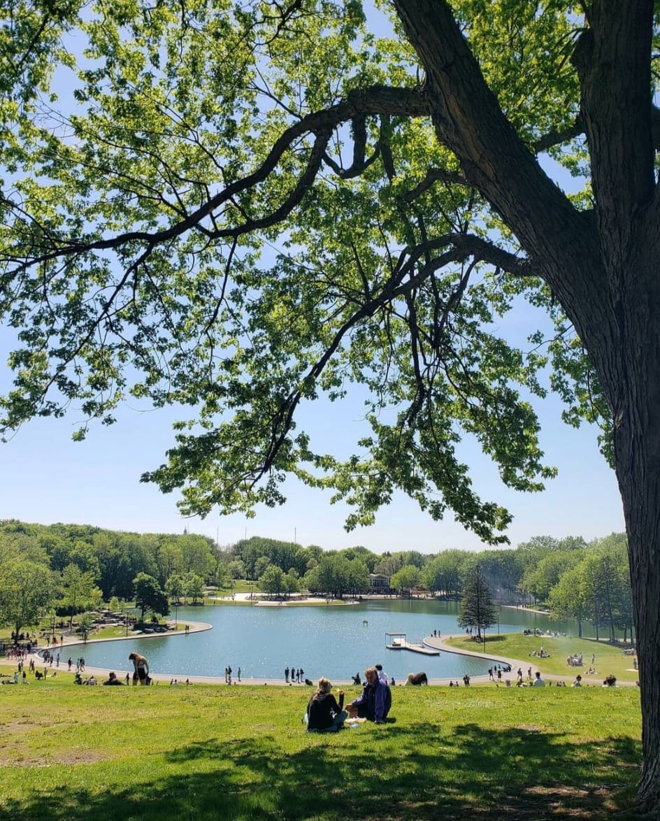 Zone verte tout ce que vous devez savoir sur le passage du Québec en