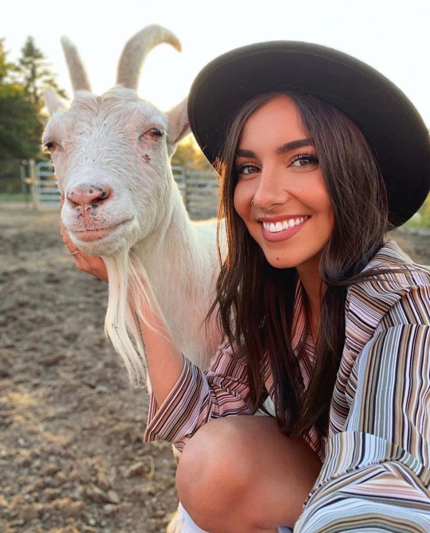 10 marques québécoises sans cruauté animale