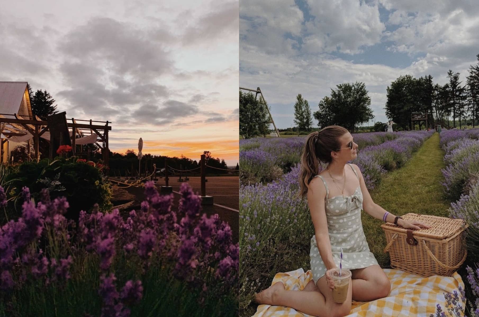 Des jeudis «coucher de soleil» où pique-niquer 