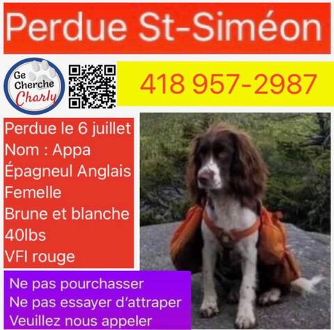 Etienne Kelinas and his dog dad