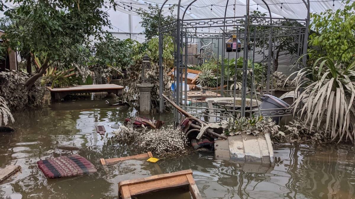 Colombie-Britannique: un vignoble inondé se fait voler ses derniers barils