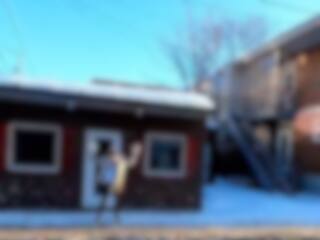 Le Kogi: un nouveau café déjà populaire sur TikTok