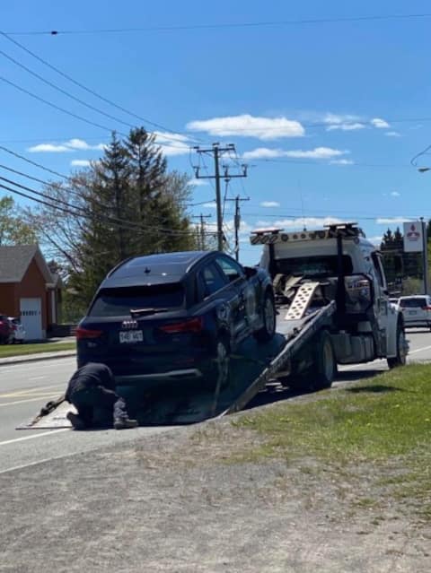 Canada's self-proclaimed