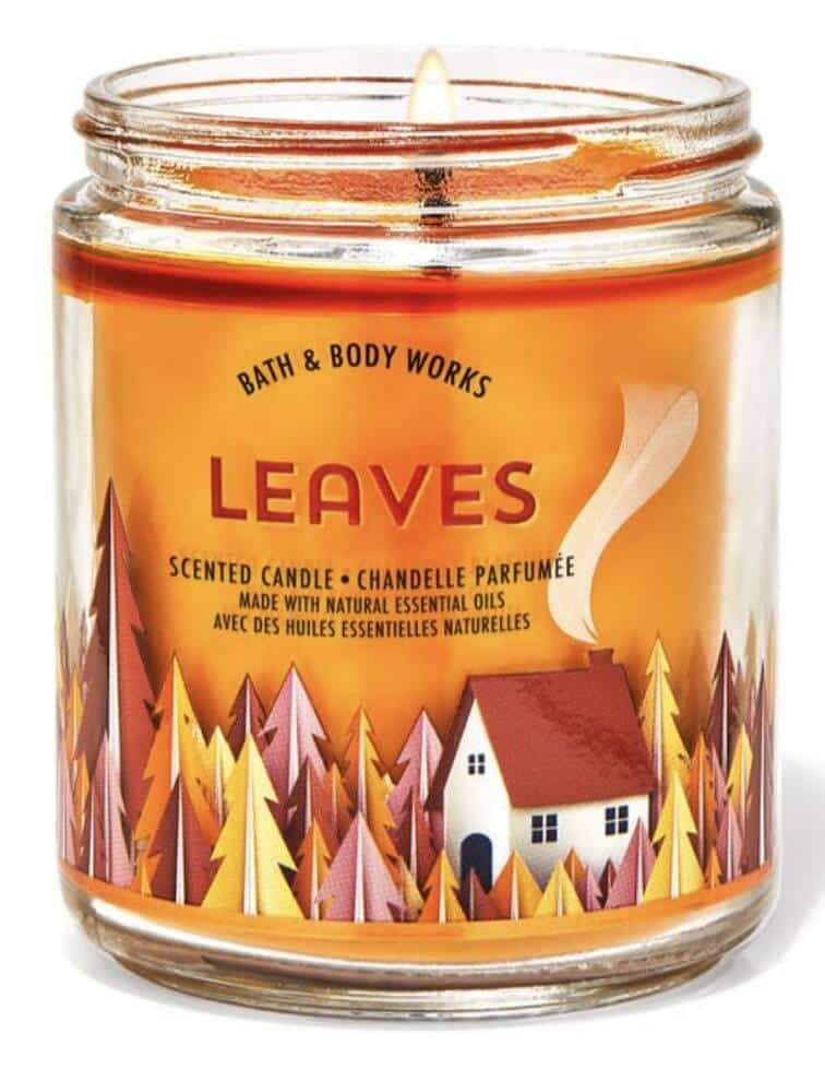 Bath & Body Works – Diffuseur Mural Torsadé Parfum Menthe Poivrée Twisté, Rare, Avec Lattes