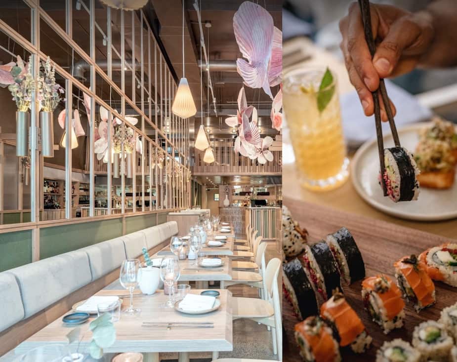 Image principale de l'article Un nouveau resto «plant-based» au centre-ville