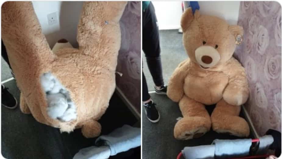 Image principale de l'article Un voleur retrouvé dans un ours en peluche géant