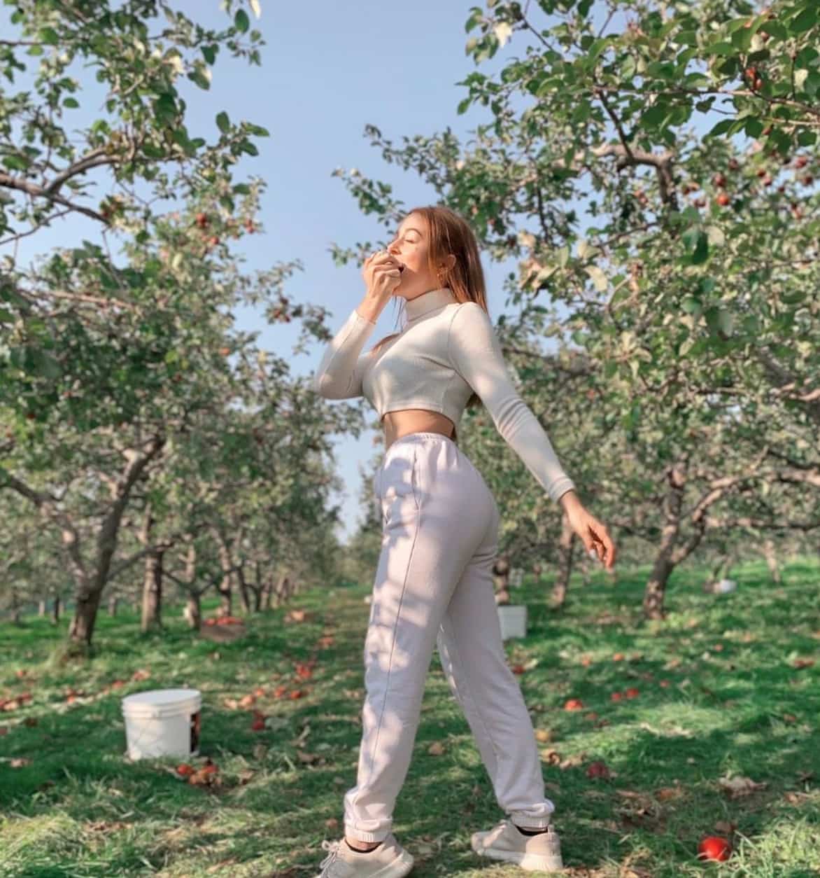 Où cueillir des pommes durant le mois d’août 