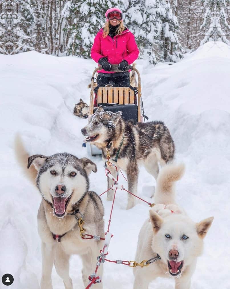 Où faire du traîneau à chiens au Québec 