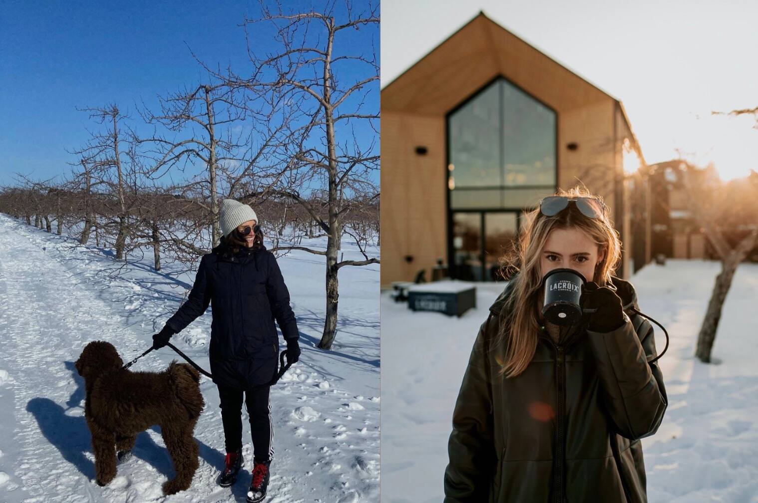 Une cidrerie où faire de la randonnée gratuitement