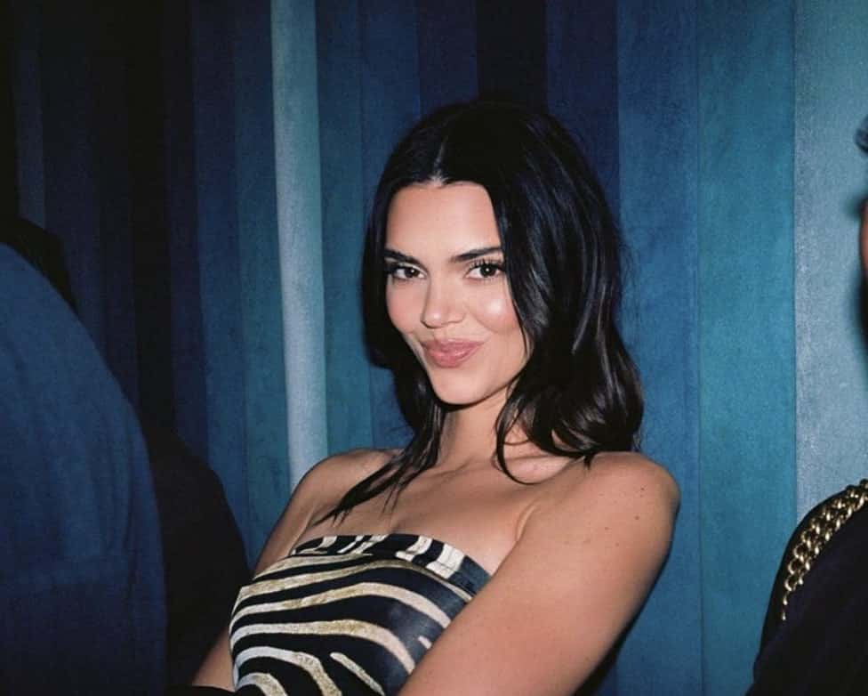 Kendall Jenner se dénude dans une série de selfies