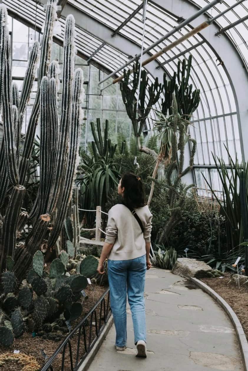 3 activités «tropicales» sans quitter le Québec