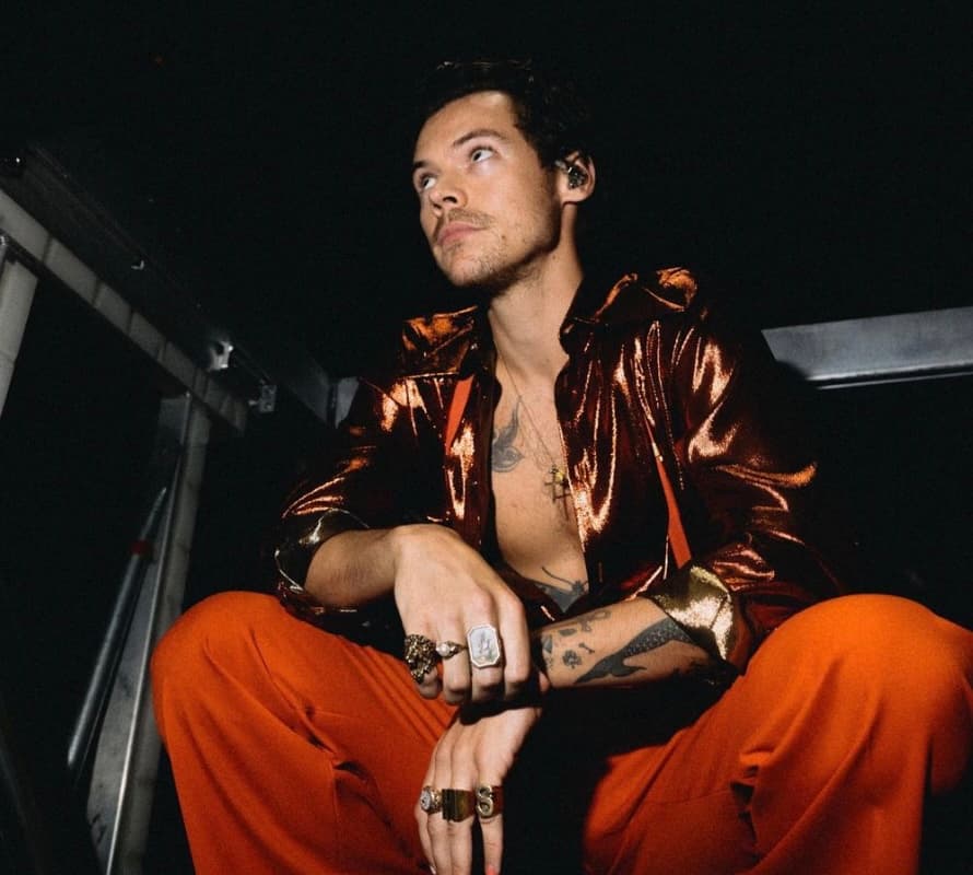 Harry Styles fréquenterait cette mannequin 