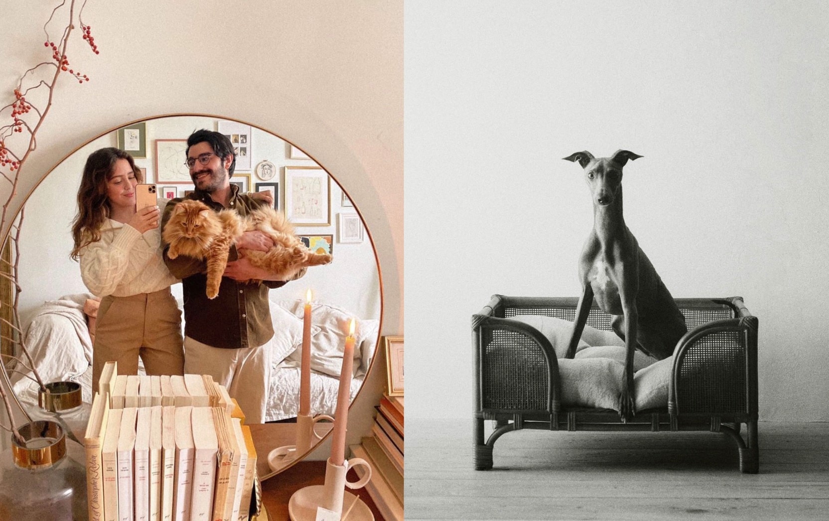 9 trouvailles déco pour les animaux de compagnie 