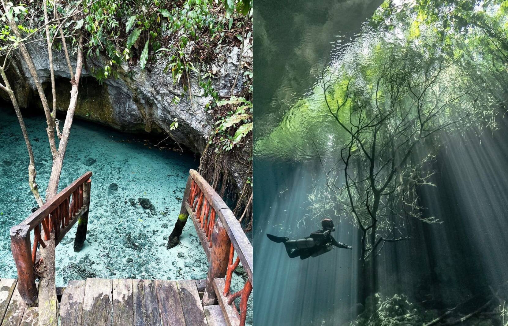 TOP 10 des plus beaux cénotes du Mexique