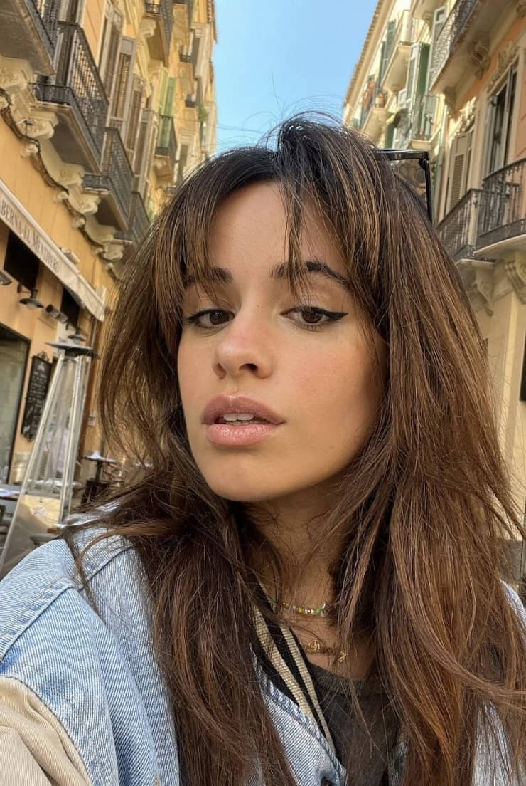 Camila Cabello pose sensuellement en nuisette