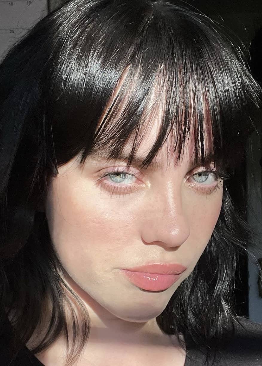 Une photo de Billie Eilish en bikini fait réagir la toile | billie
