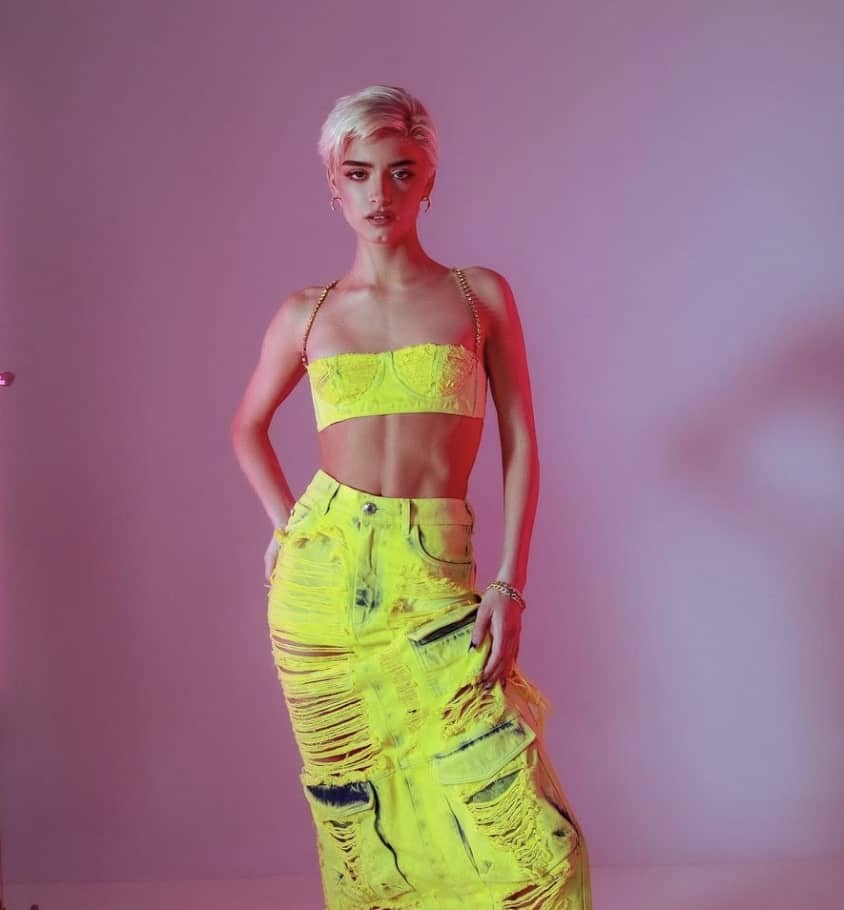 Dixie D'Amelio porte le plus petit haut de bikini 