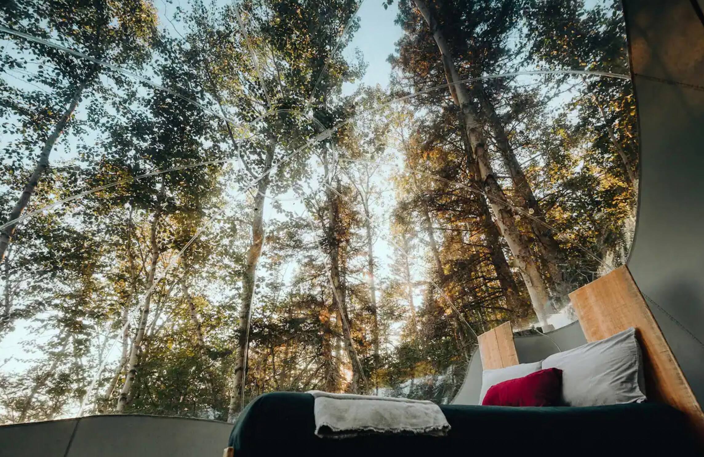 Des bulles transparentes à louer dans le fjord