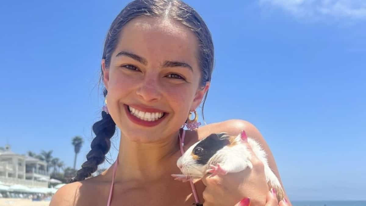 Addison Rae joue les sirènes avec un «wet look» dans la mer d'Hawaii ...