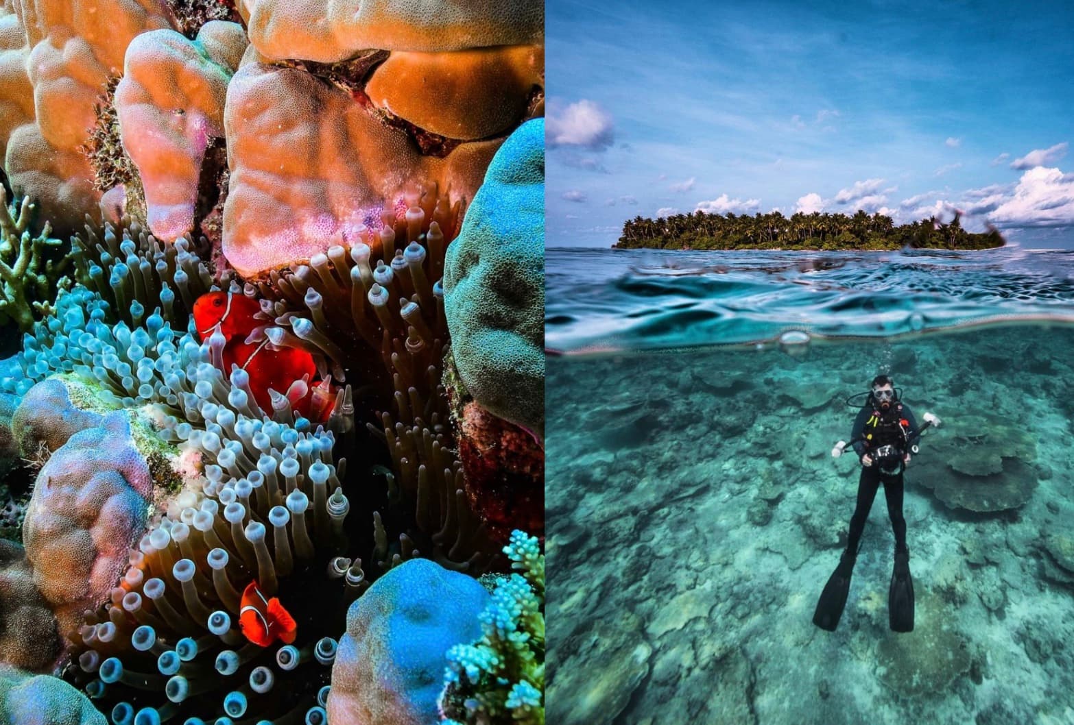 Top 15 des plus beaux endroits pour plonger