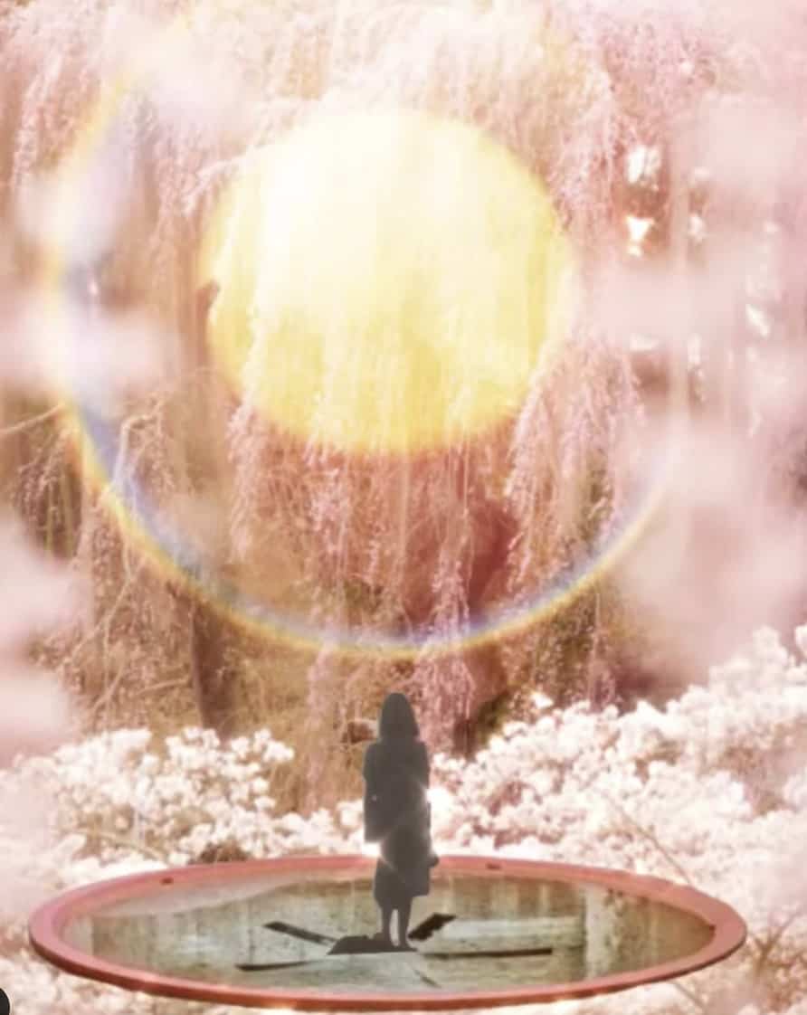 Vénus entre en rétrograde jusqu'en septembre