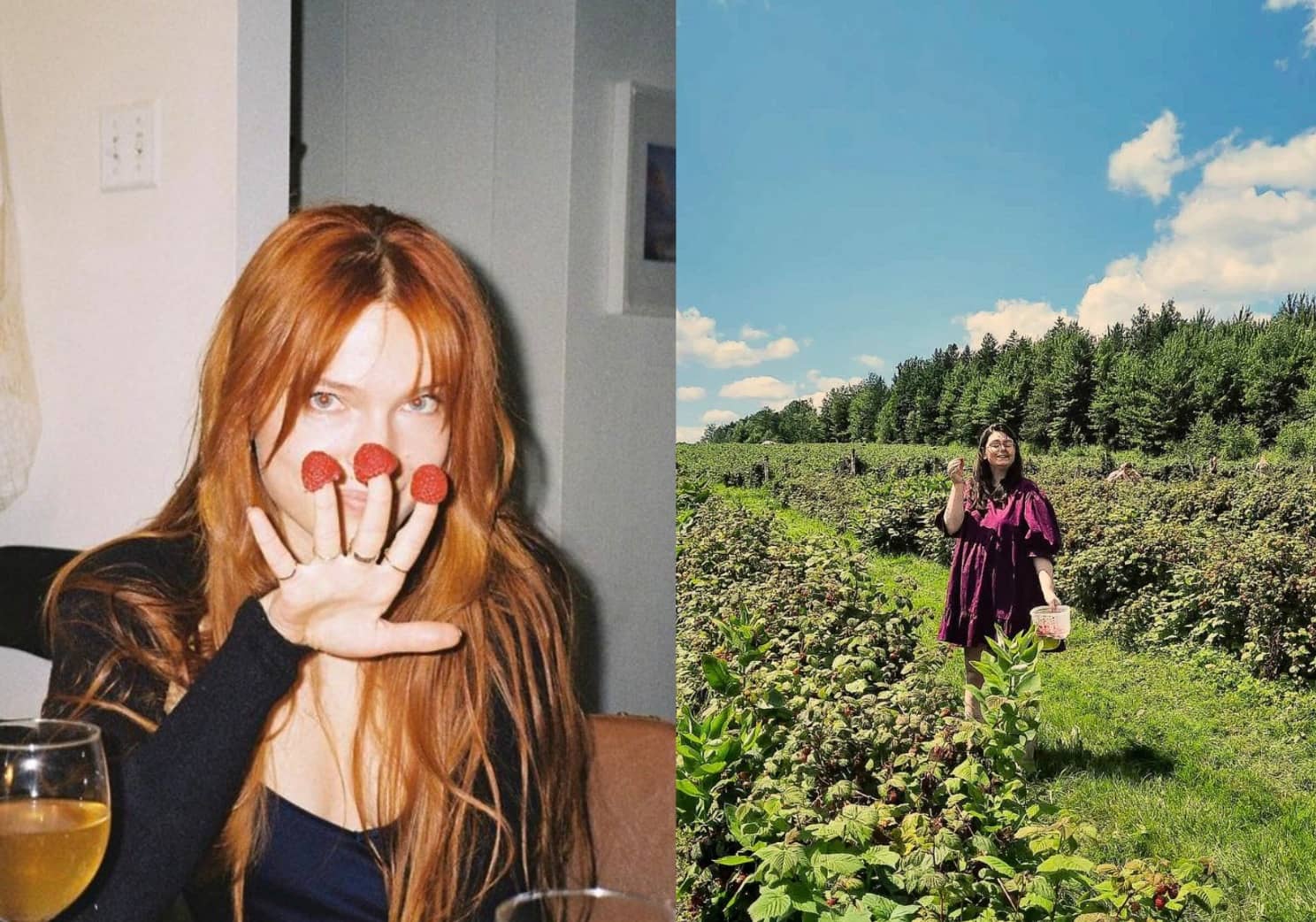 Un party de petits fruits s’amène au Québec