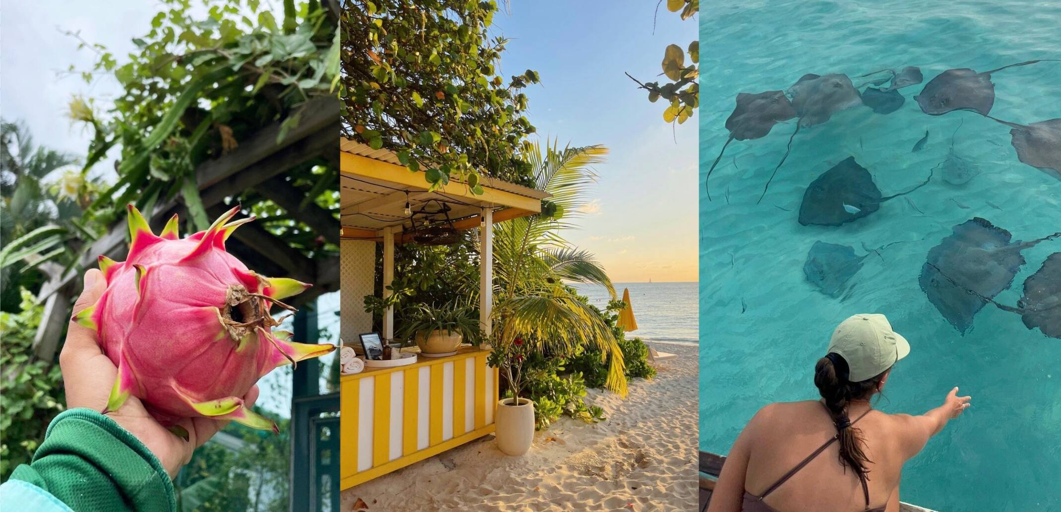 Îles Caïmans 5 choses à savoir sur ce territoire hyper méconnu des