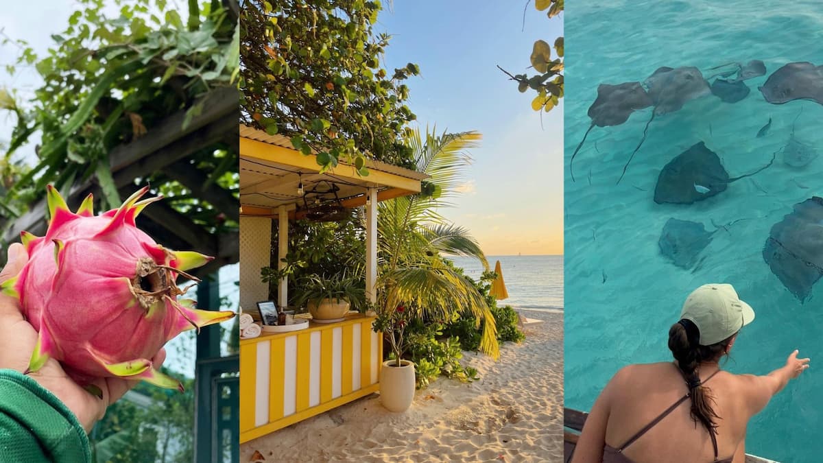 Îles Caïmans 5 choses à savoir sur ce territoire hyper méconnu des