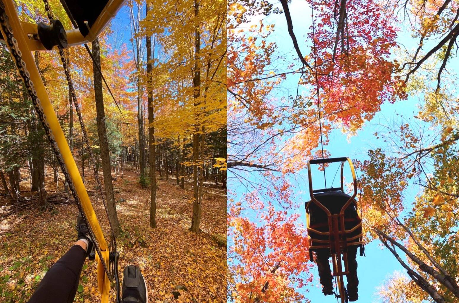 La parfaite activité pour profiter des couleurs