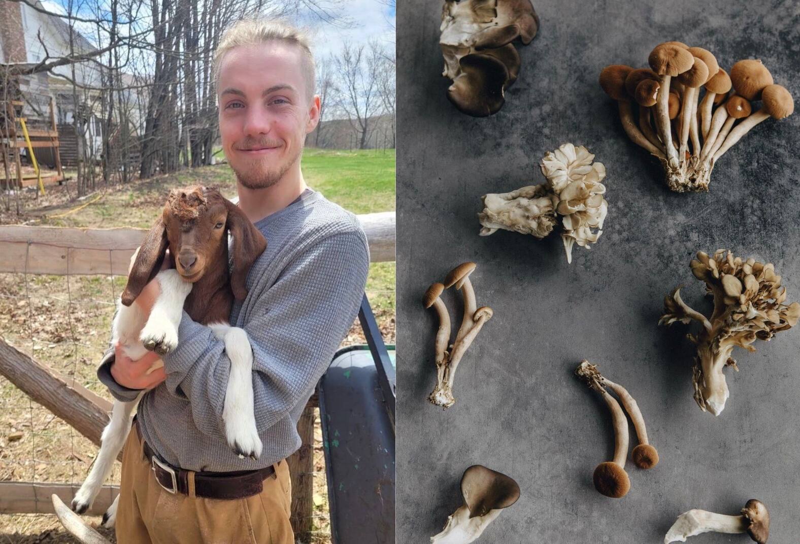 Les meilleures adresses de Antoine Desrochers 