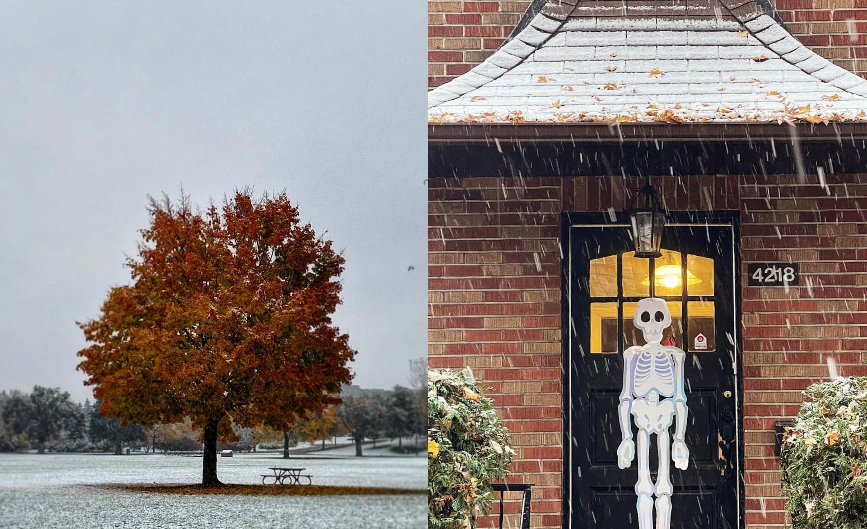 18 images de la surprenante première neige