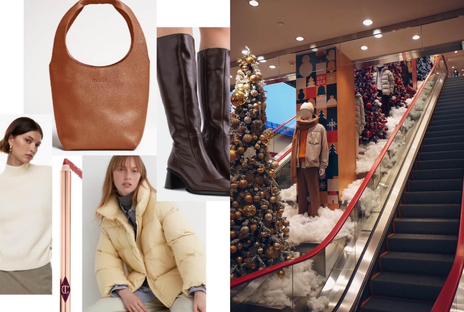 5 coups de cœur de la rédaction 