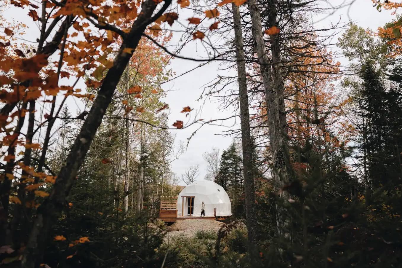 Nouveaux dômes et mini-chalets avec spas