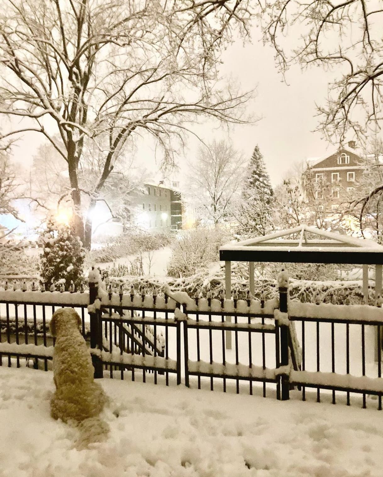 15 vedettes qui ont immortalisé la première neige