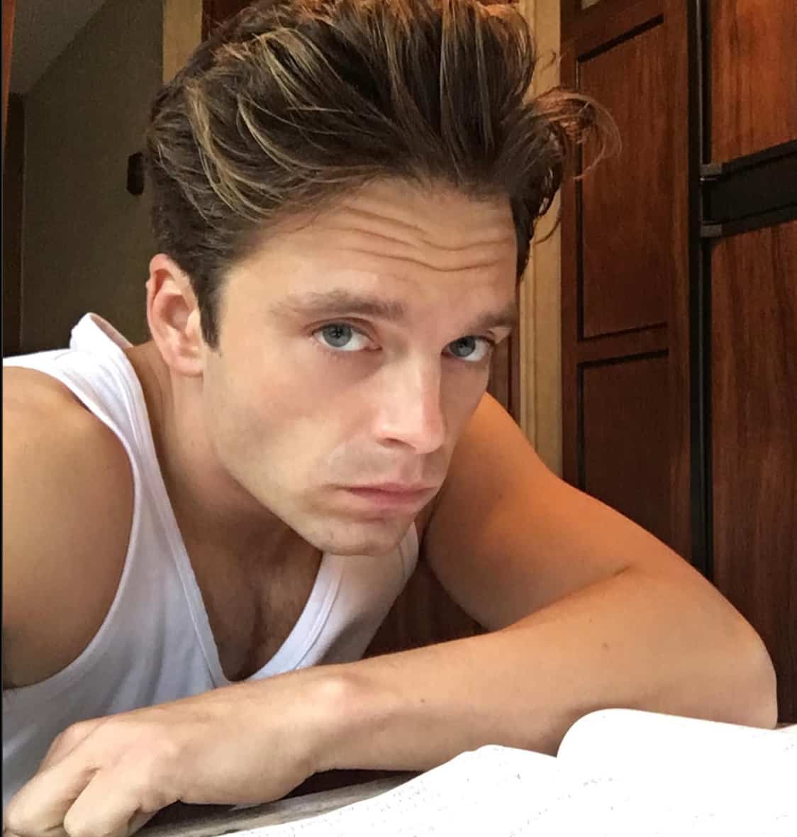 Sebastian Stan jouera un jeune Donald Trump