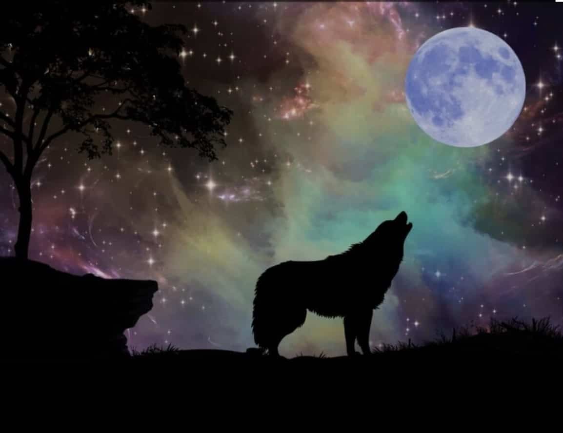 Pleine Lune en Lion du 25 janvier