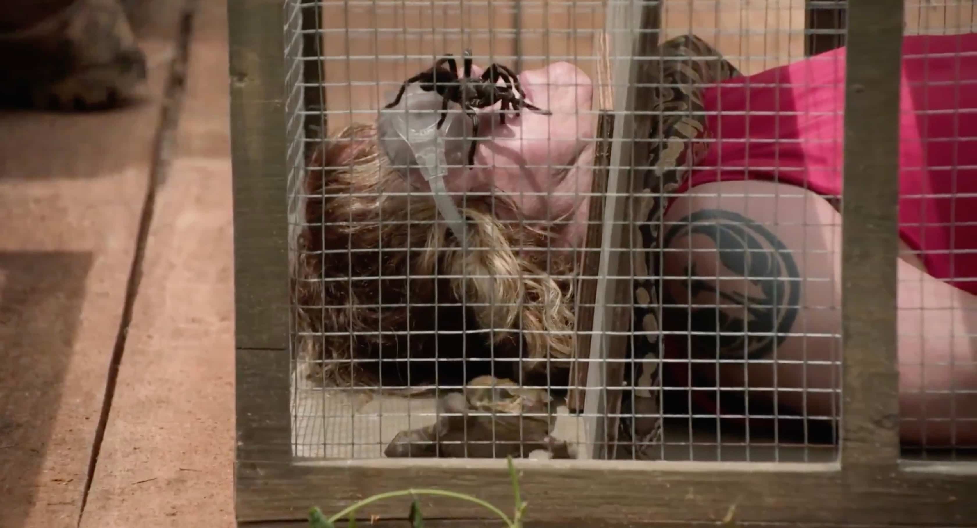 La bande-annonce vous donnera froid dans le dos