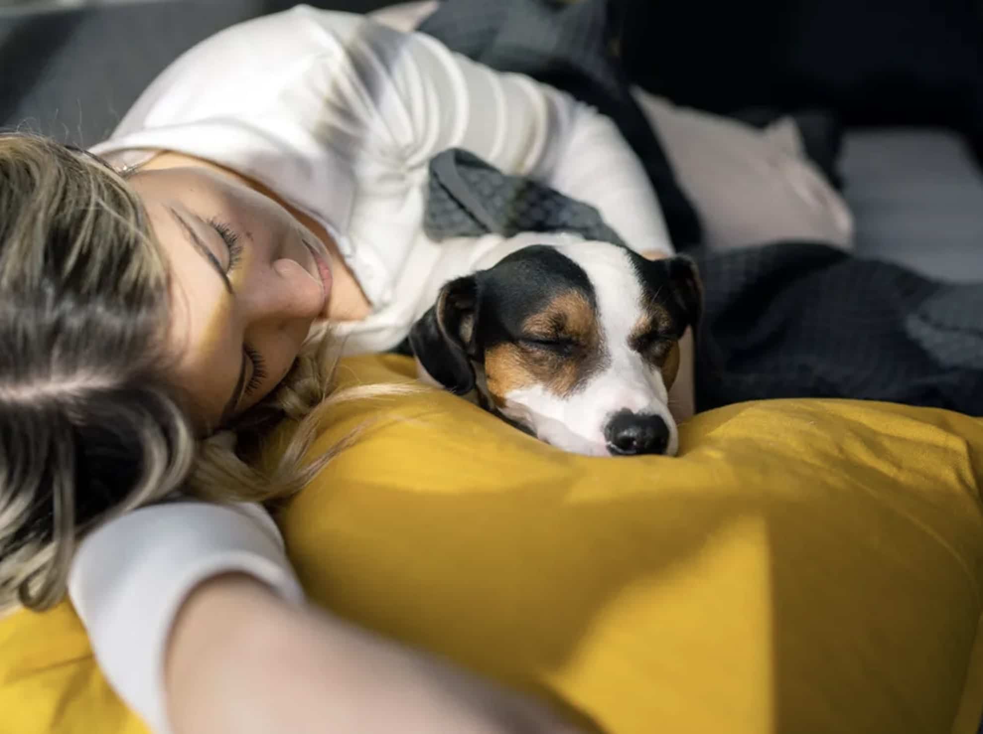 Votre chien rêve probablement à vous