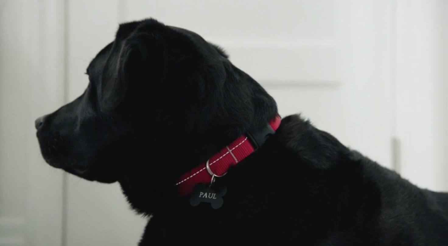 Paul est sain et sauf