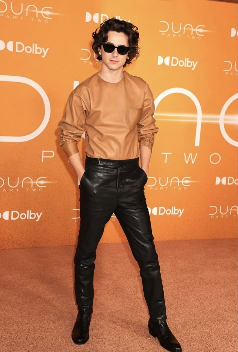 Timothée Chalamet absent pour Dune à Montréal