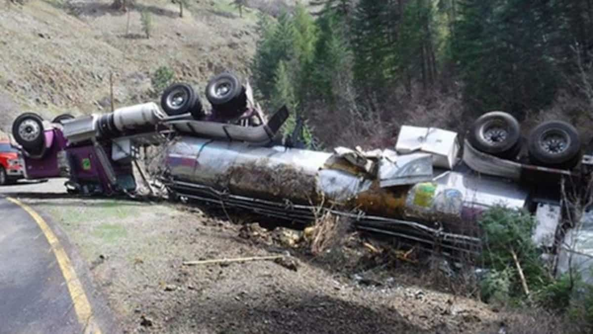 Thousands of salmon survived an accident while jumping into the river