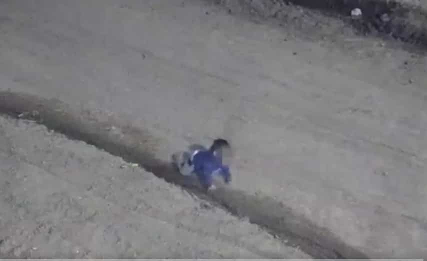 EN VID&Eacute;O | Un b&eacute;b&eacute; trouv&eacute; rampant &agrave; quatre pattes sur la route en pleine nuit