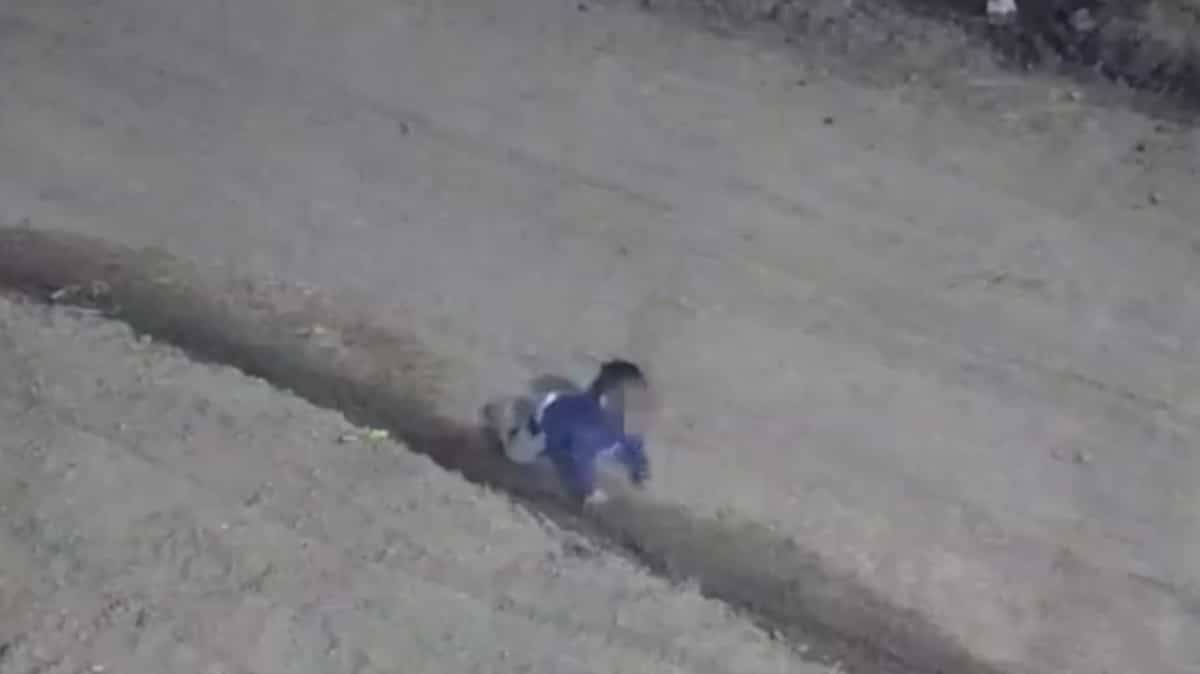 EN VIDÉO | Un bébé trouvé rampant à quatre pattes sur la route en pleine nuit