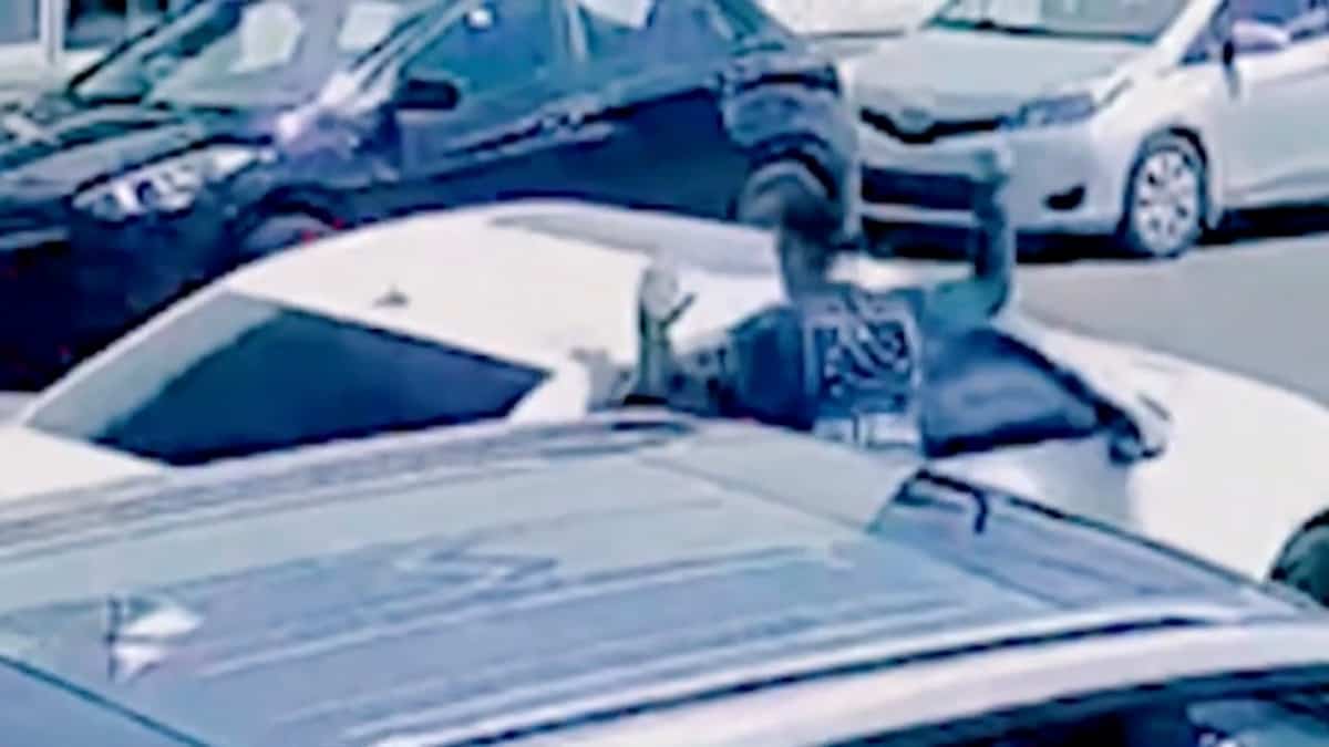 Vols de voitures: un garagiste de Montréal à bout de ressources