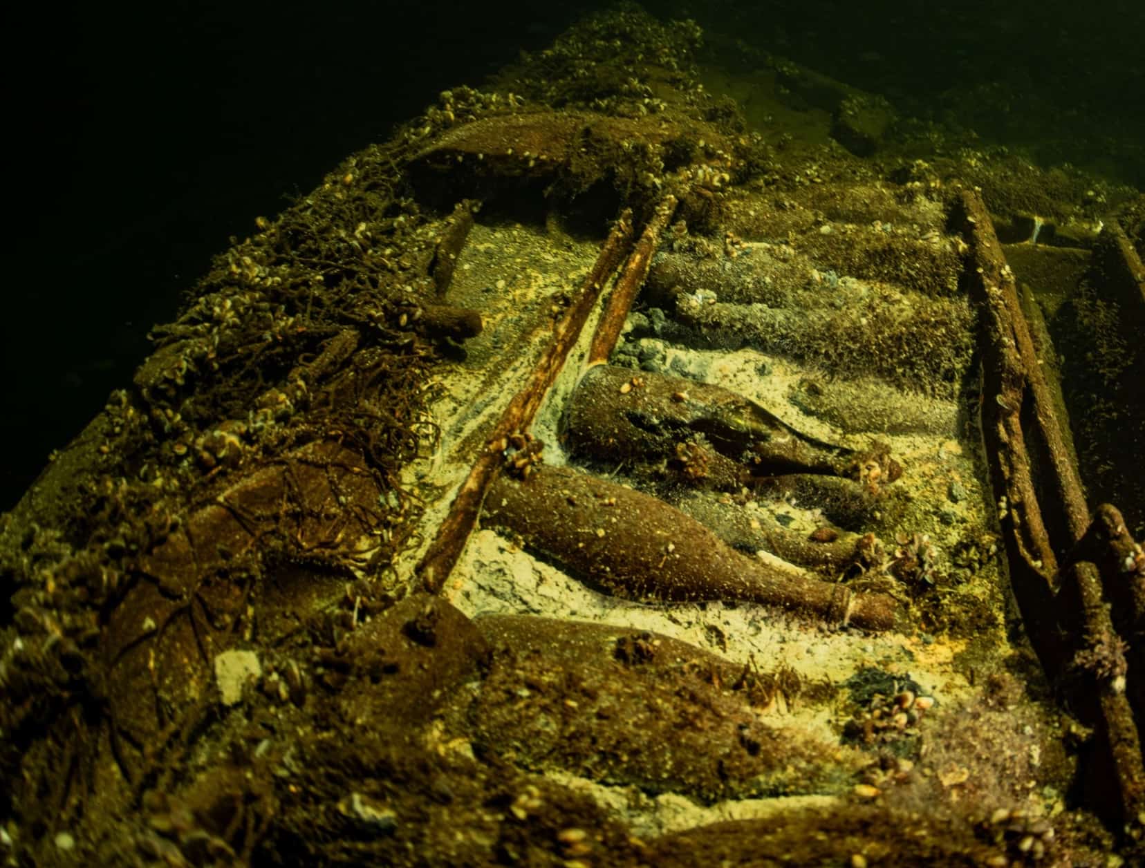 Une &eacute;pave remplie de champagne et d'objets de porcelaine d&eacute;couverte au fond de la mer Baltique