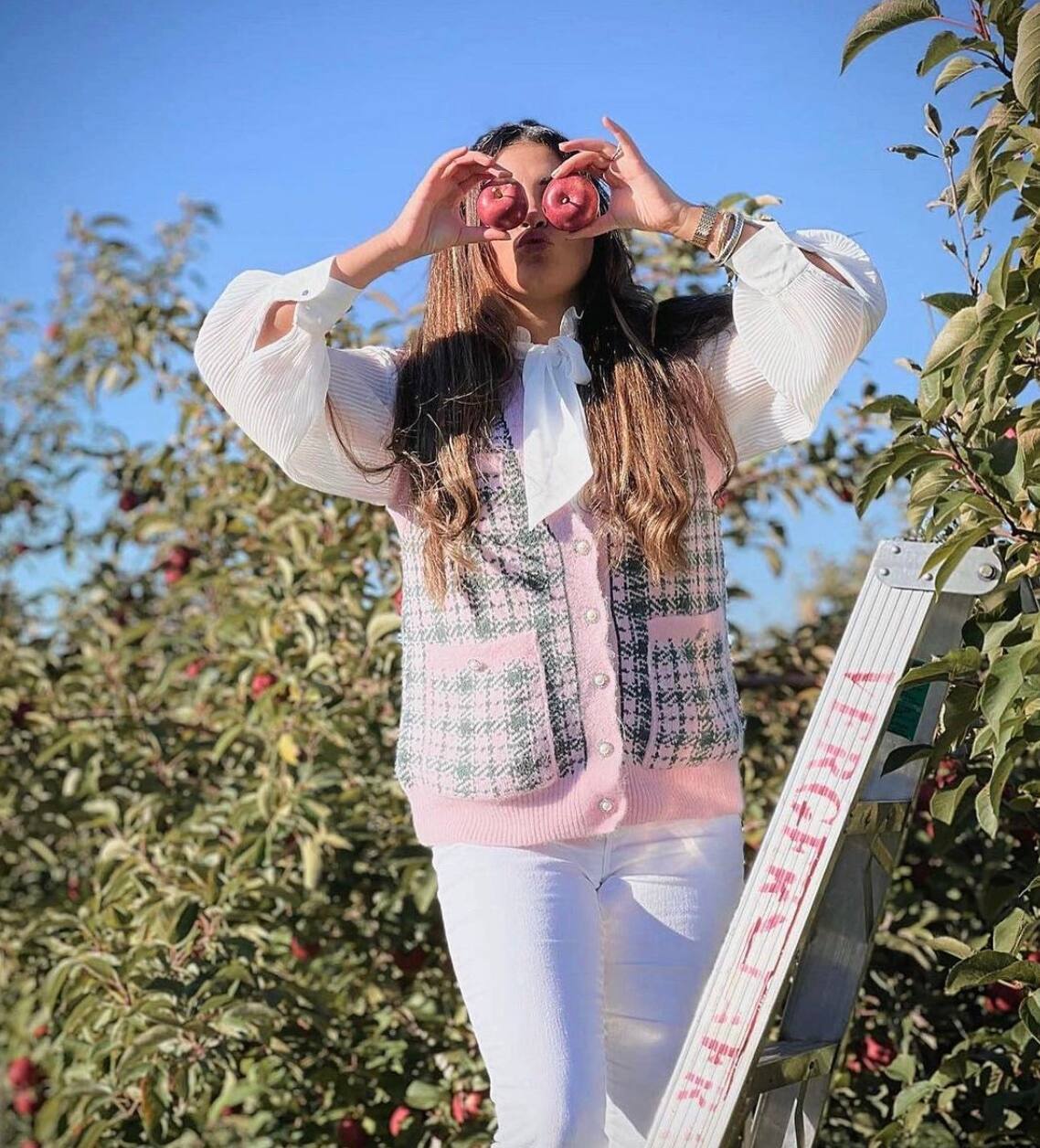 Voici LA place où aller cueillir vos pommes 