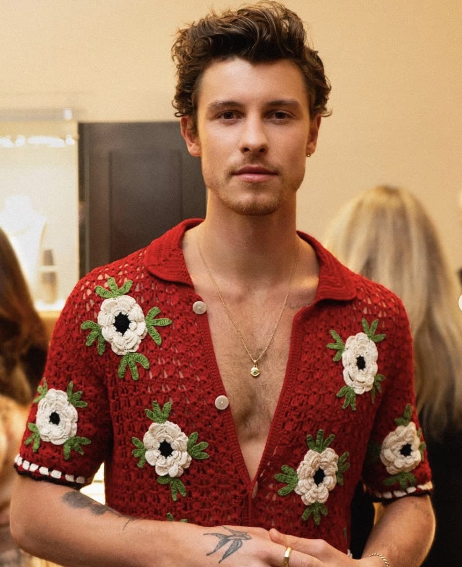 Il aurait eu deux triangles amoureux avec Camila